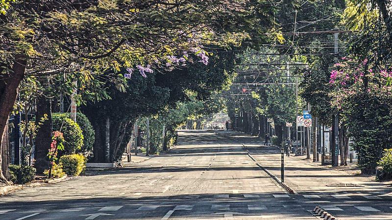 calles de Guadalajara (4).jpeg